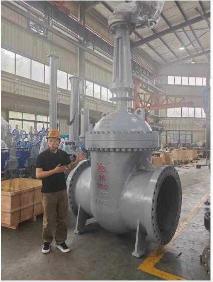 行走閥門江湖數十載！挺宇流體智能化新工廠預計2026年10月投入使用，開啟文化傳播新篇章